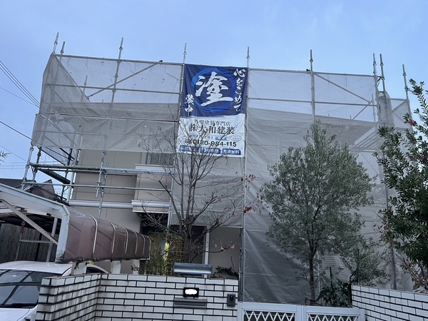 S__65748999_new_コピー