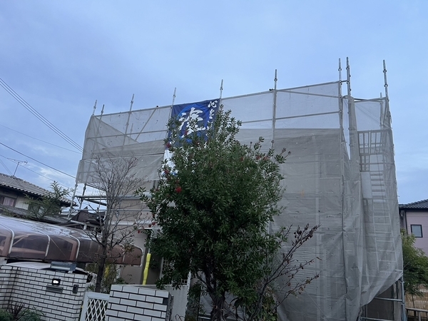 S__65748996_new_コピー