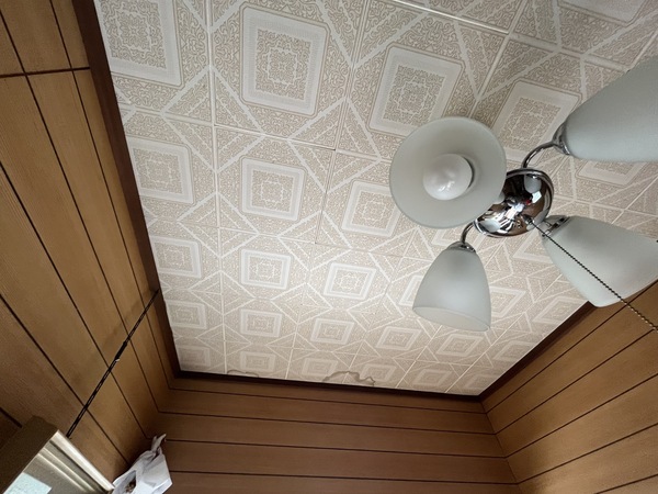 CD5CDCE0-843A-4EB9-8287-CF4C45666520_コピー