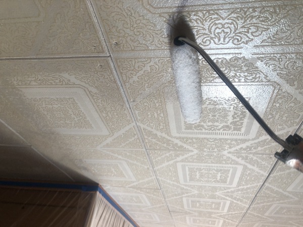 2DCF2D9C-1FFE-4663-84CE-5028A3C53EDA_コピー