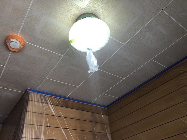 876C8D6E-B089-4191-AB63-58773DEA3142_コピー