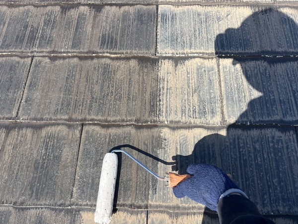 S__48447557_0_コピー