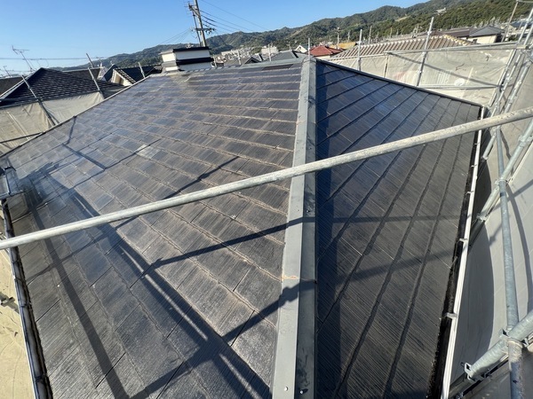 S__48447560_0_コピー