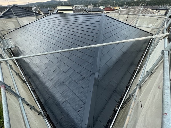 S__48496676_0_コピー