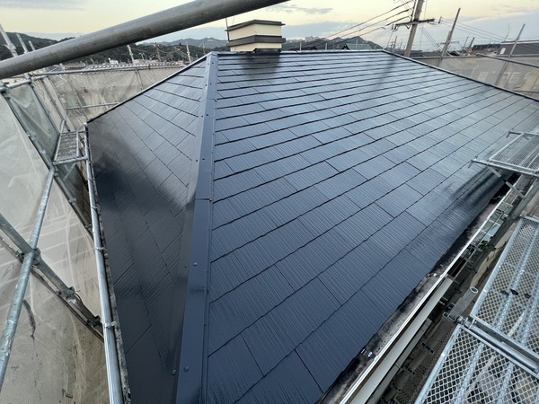 S__48496673_0_コピー