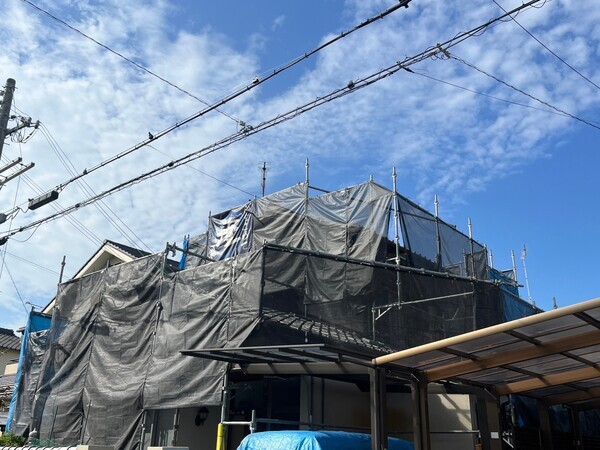 S__103653379_0_コピー