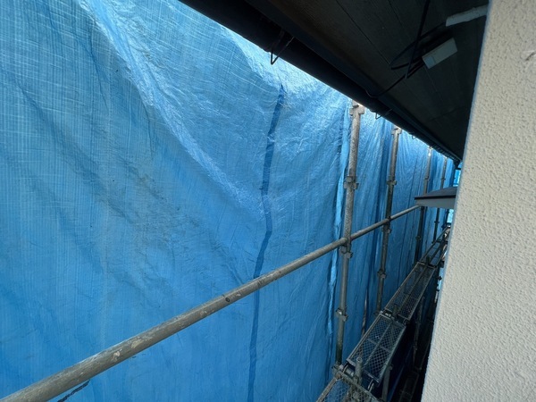 S__48488470_0_コピー