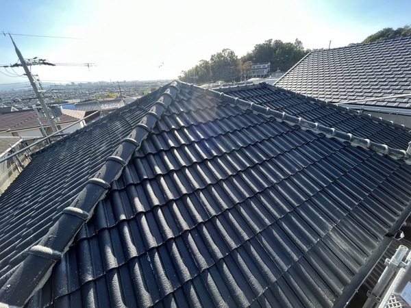 S__42123317_0_コピー