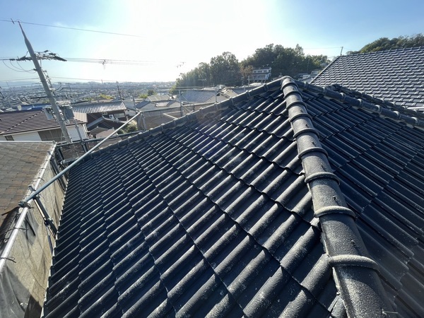 S__42123319_0_コピー