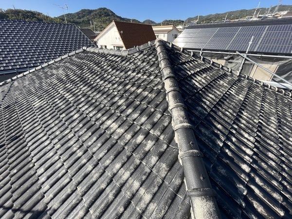 S__42123321_0_コピー