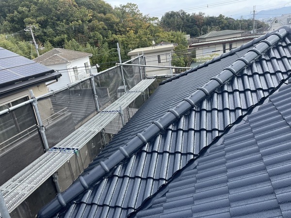 S__10797115_0_コピー