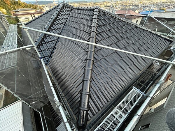 S__423780361_0_コピー