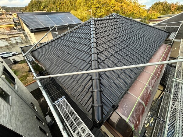 S__423780362_0_コピー