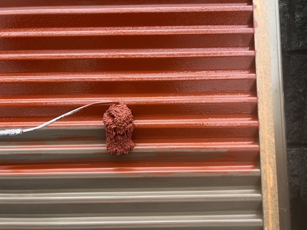 S__48570435_0_コピー