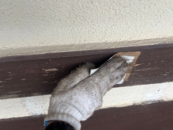 S__103718935_0_コピー