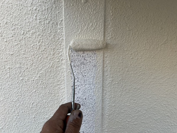 S__42303499_0_コピー