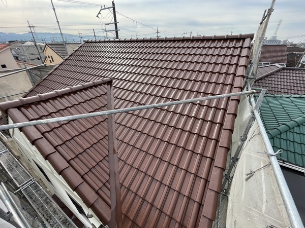 S__42377254_0_コピー