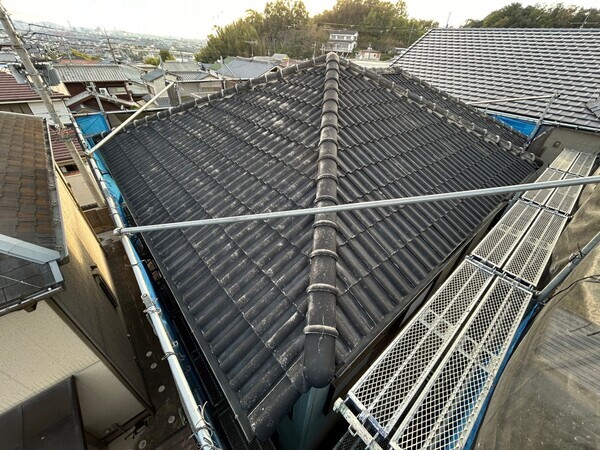 S__422182930_0_コピー