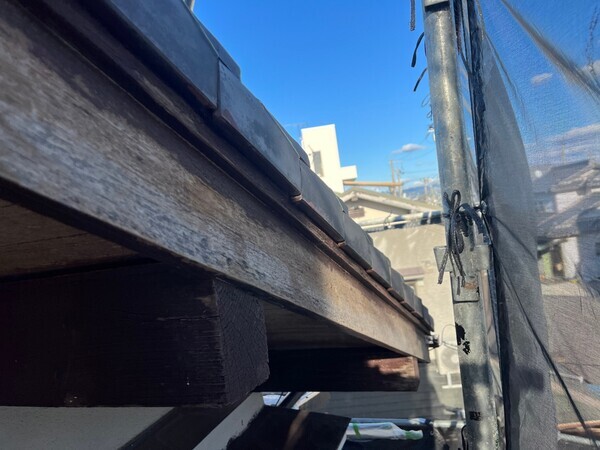 S__103784485_0_コピー