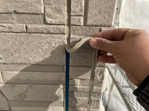 S__10977341_0_コピー