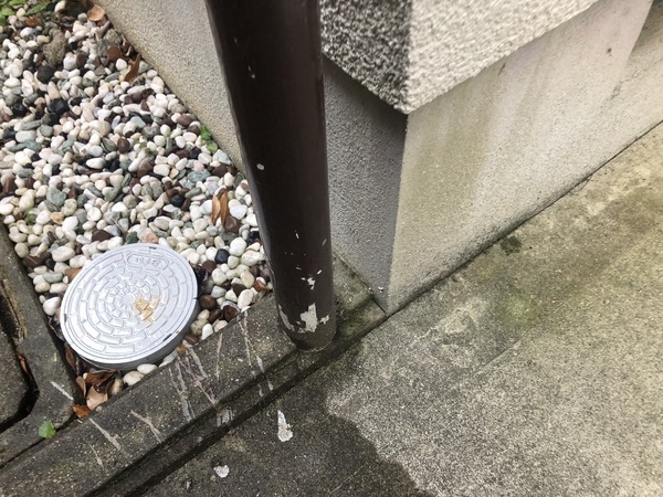 S__107184144_コピー