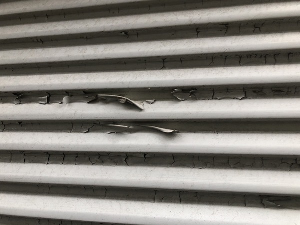 S__107184142_コピー