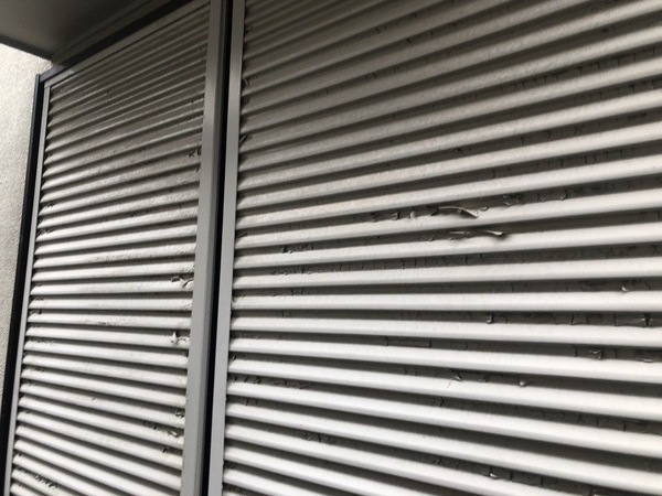 S__107184141_コピー