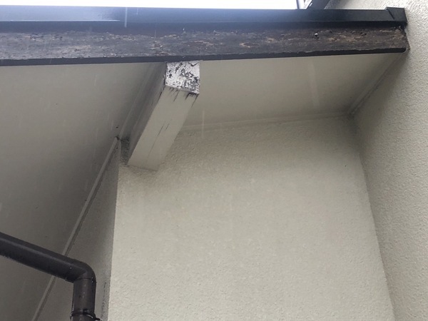 S__107184137_コピー