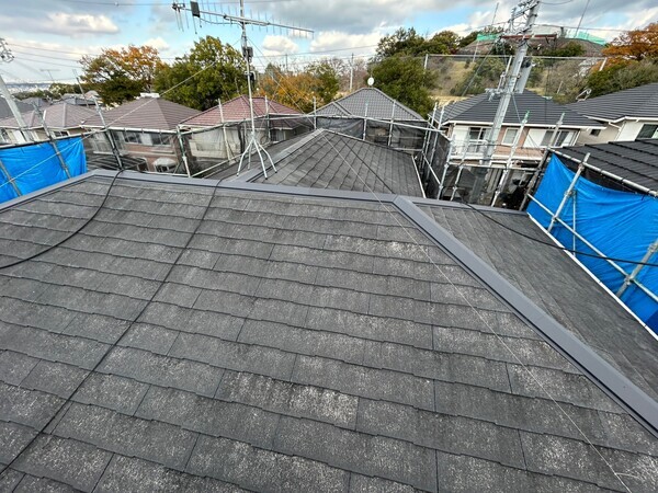 S__425828368_0_コピー