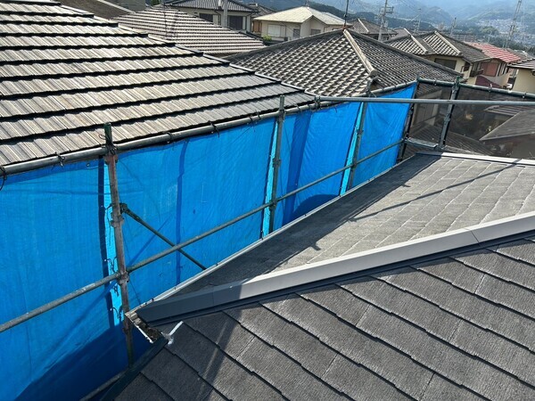 S__425828365_0_コピー