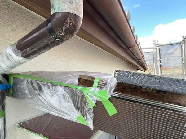 S__103841815_0_コピー