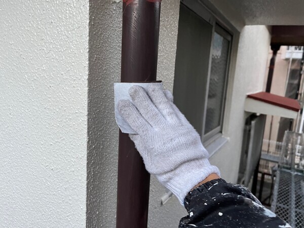 S__103874589_0_コピー