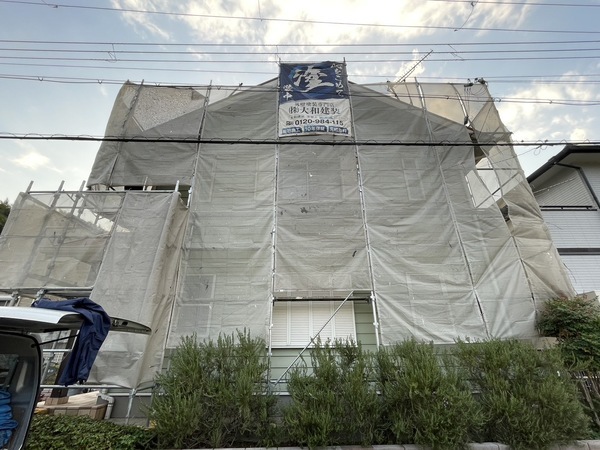 S__11329542_0_コピー