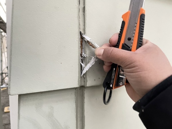 S__11411467_0_コピー