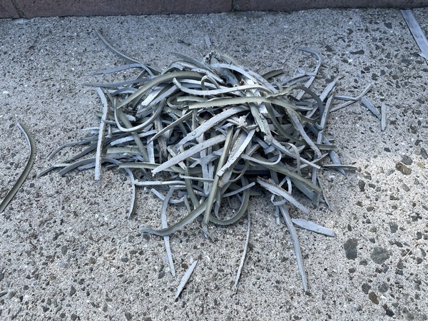 S__11411469_0_コピー