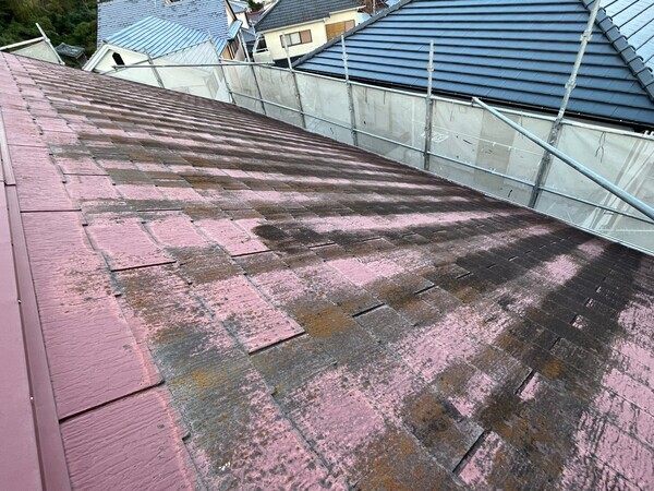 S__104161341_0_コピー