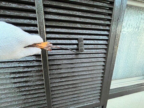 S__103956497_0_コピー