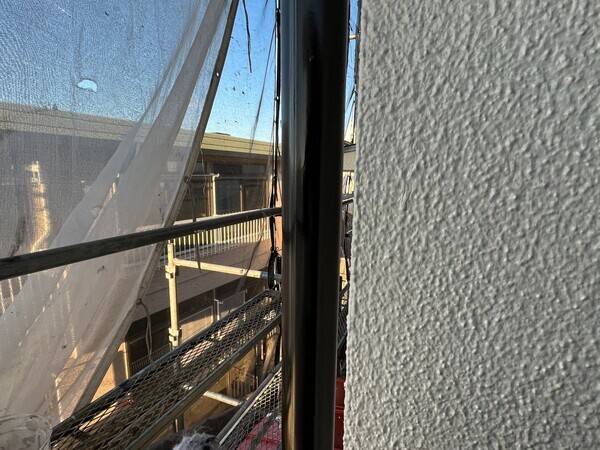 S__103956498_0_コピー