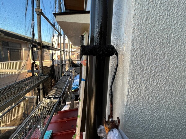 S__103956500_0_コピー