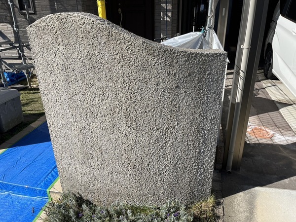 S__42713124_0_コピー