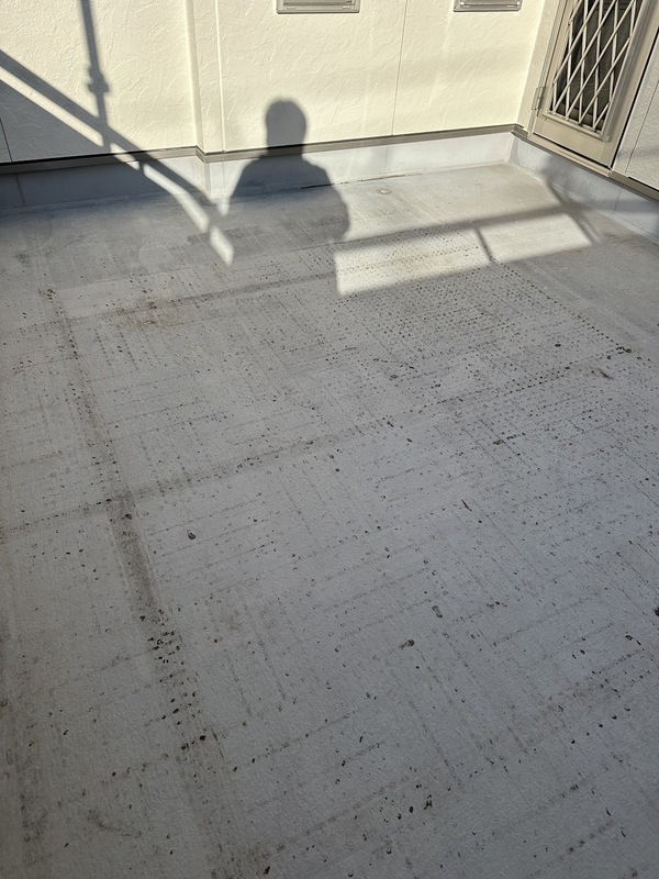 S__210657288_0_コピー