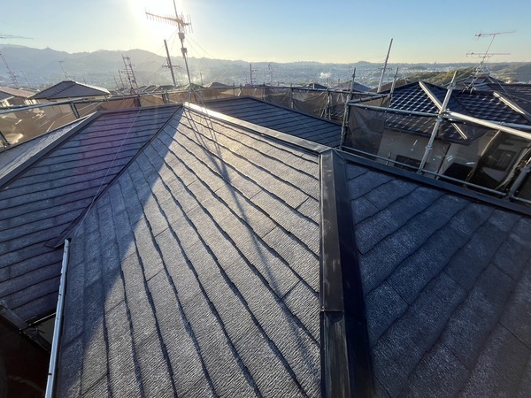 S__42598439_0_コピー