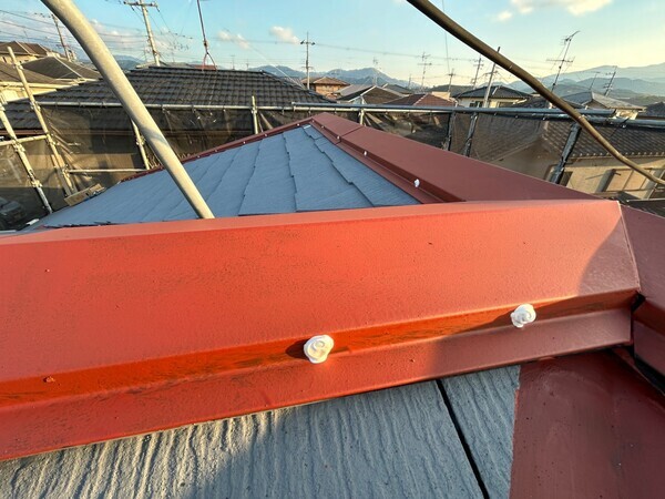 S__426459150_0_コピー