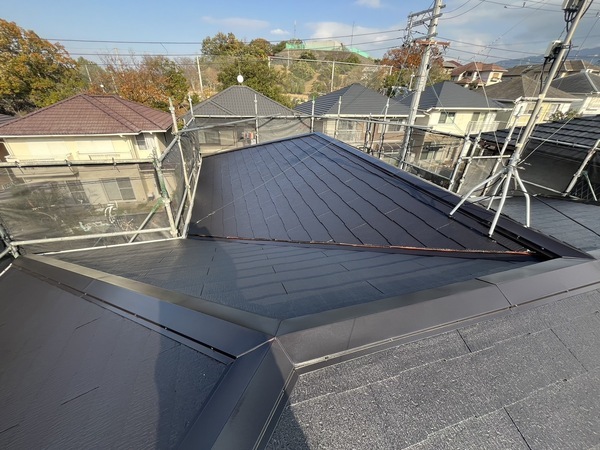 S__42663948_0_コピー