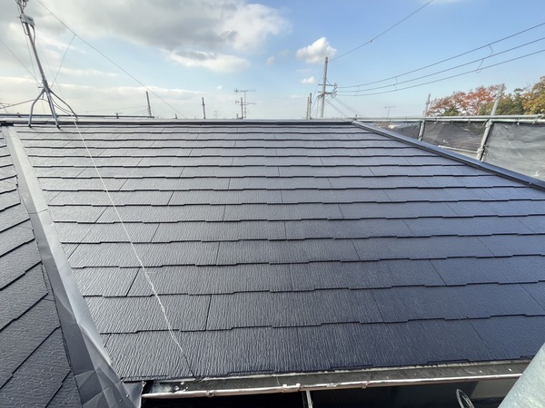 S__42663949_0_コピー