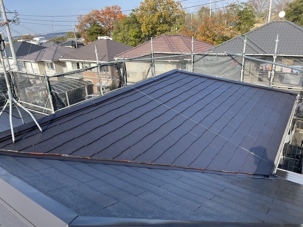 S__42663945_0_コピー