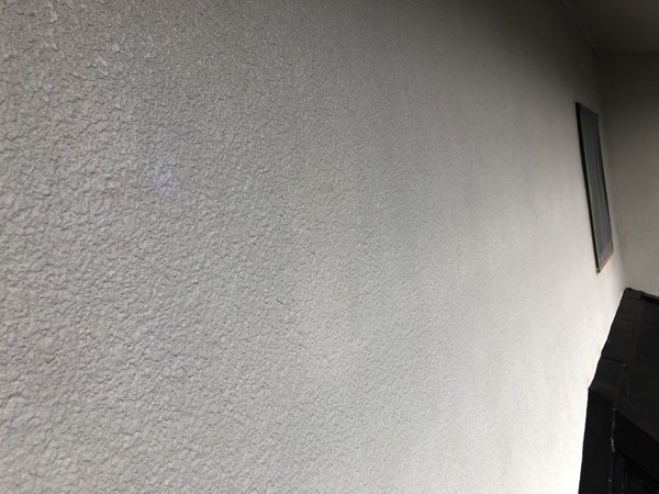 S__107888651_0_コピー