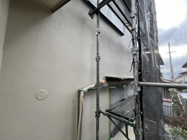 S__42795019_0_コピー