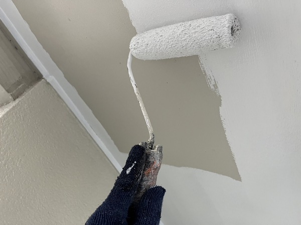 S__42795021_0_コピー