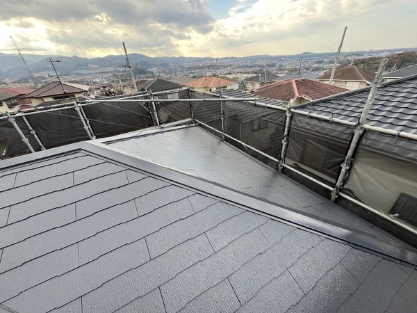 S__42958855_0_コピー